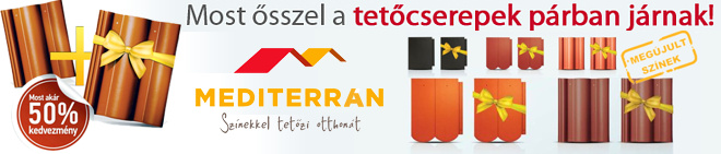 Kép1